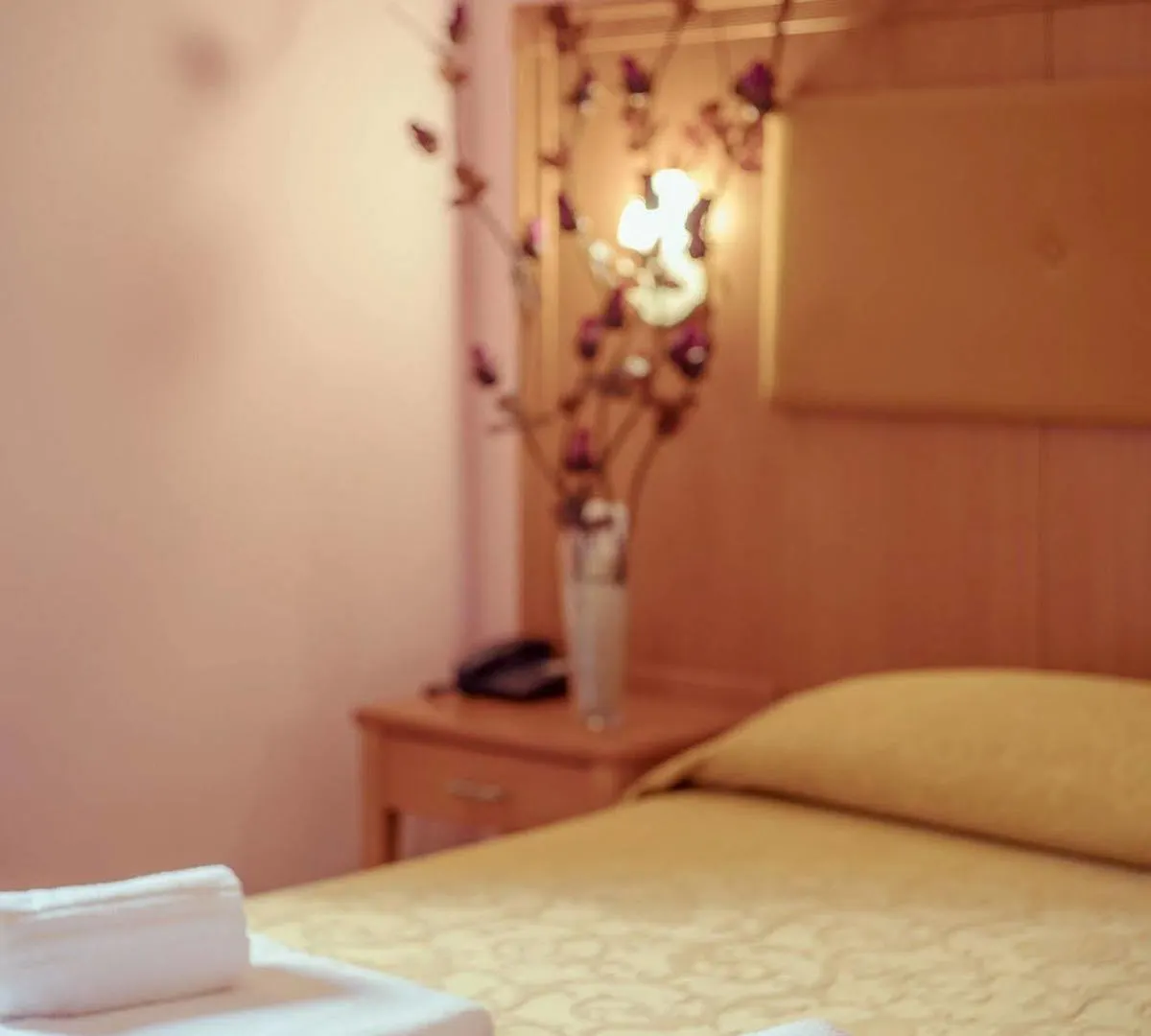 Hotel Brianza Milan